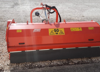trinciastocchi MASCHIO CHIARA 230